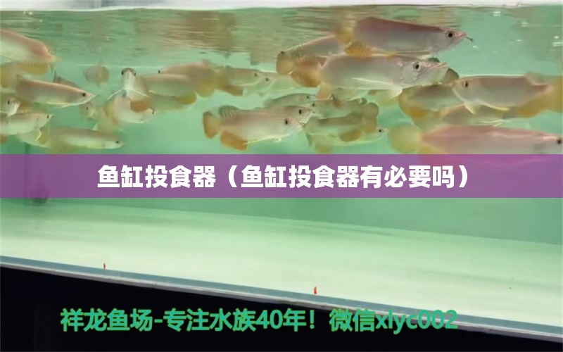 魚(yú)缸投食器（魚(yú)缸投食器有必要嗎） 蘇虎苗（蘇門(mén)答臘虎魚(yú)苗）