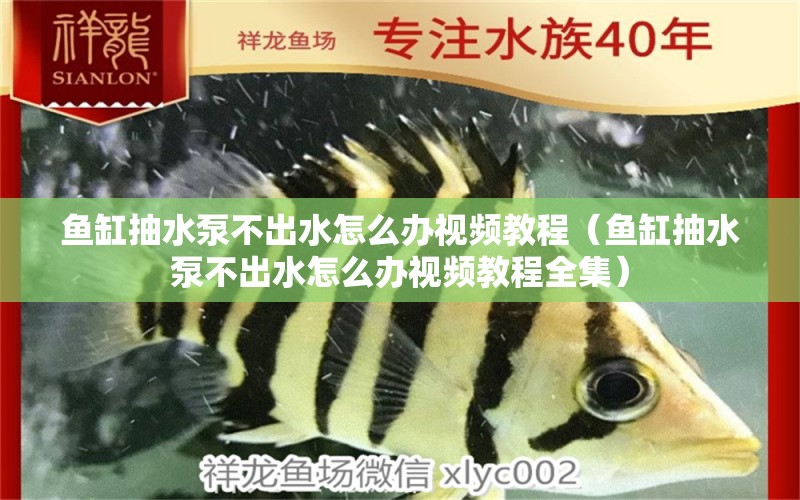 魚缸抽水泵不出水怎么辦視頻教程（魚缸抽水泵不出水怎么辦視頻教程全集）