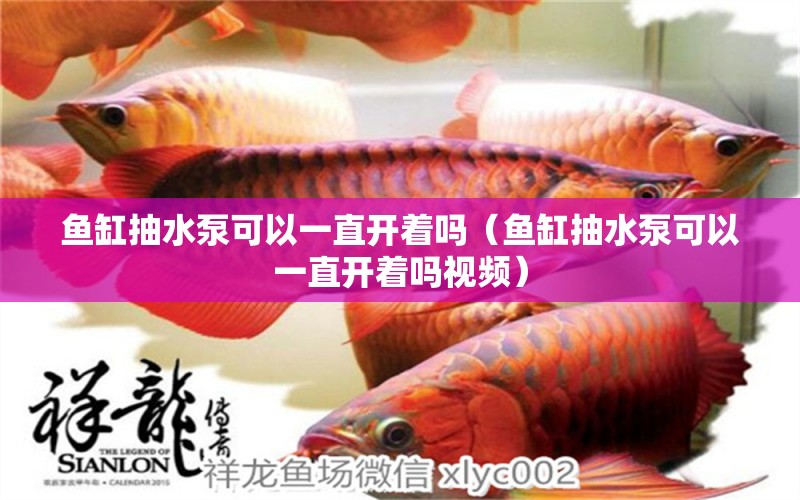 魚缸抽水泵可以一直開著嗎（魚缸抽水泵可以一直開著嗎視頻）