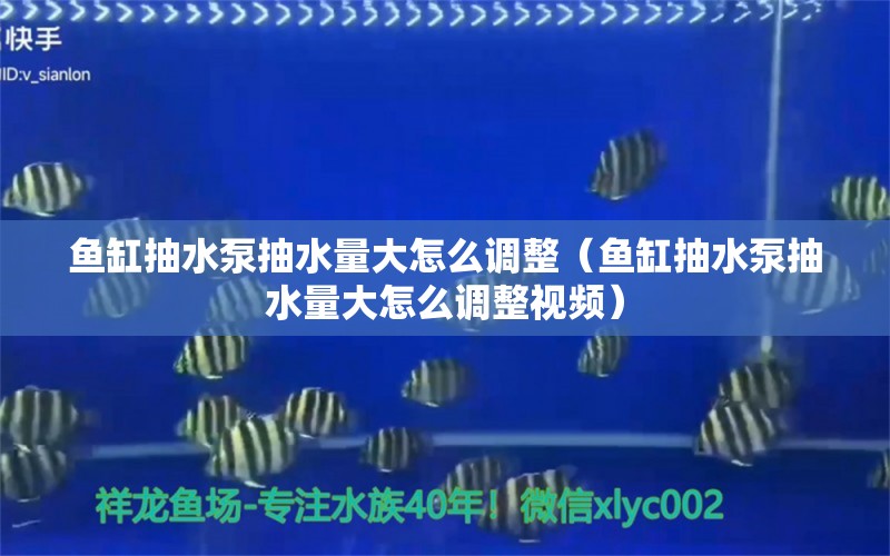 魚缸抽水泵抽水量大怎么調(diào)整（魚缸抽水泵抽水量大怎么調(diào)整視頻）