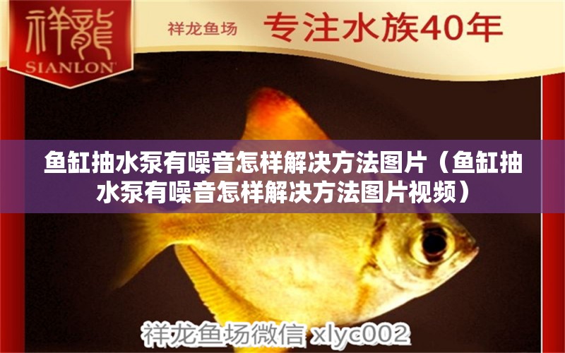 魚缸抽水泵有噪音怎樣解決方法圖片（魚缸抽水泵有噪音怎樣解決方法圖片視頻）