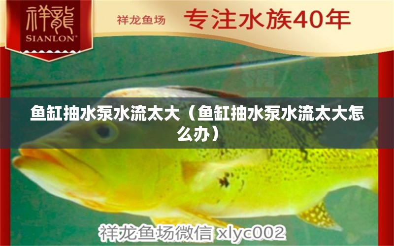 魚缸抽水泵水流太大（魚缸抽水泵水流太大怎么辦）