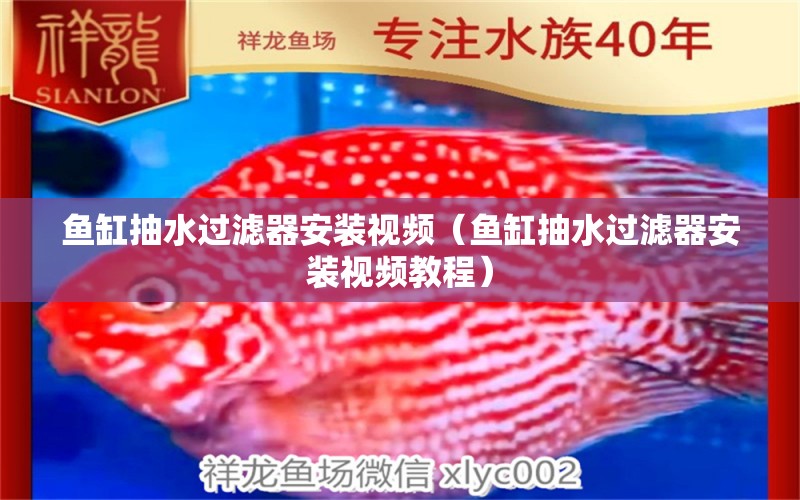 魚(yú)缸抽水過(guò)濾器安裝視頻（魚(yú)缸抽水過(guò)濾器安裝視頻教程） 量子養(yǎng)魚(yú)技術(shù)