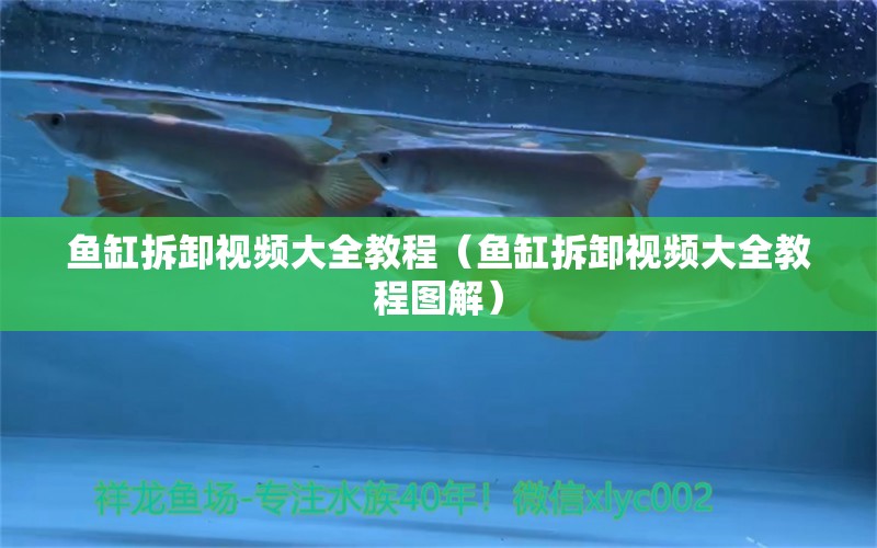 魚缸拆卸視頻大全教程（魚缸拆卸視頻大全教程圖解）