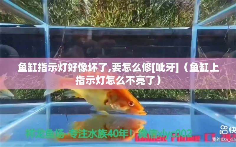 魚缸指示燈好像壞了,要怎么修[呲牙]（魚缸上指示燈怎么不亮了）