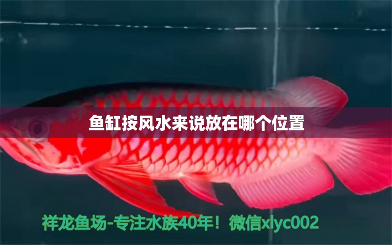 魚缸按風(fēng)水來說放在哪個位置