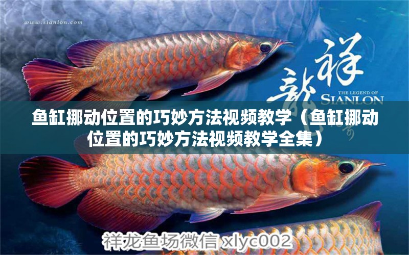 魚缸挪動位置的巧妙方法視頻教學(xué)（魚缸挪動位置的巧妙方法視頻教學(xué)全集） 其他品牌魚缸