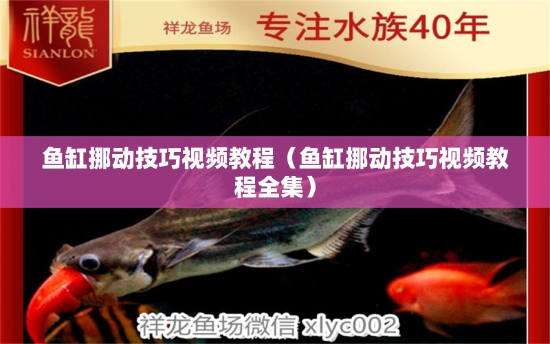 魚缸挪動(dòng)技巧視頻教程（魚缸挪動(dòng)技巧視頻教程全集） 其他品牌魚缸