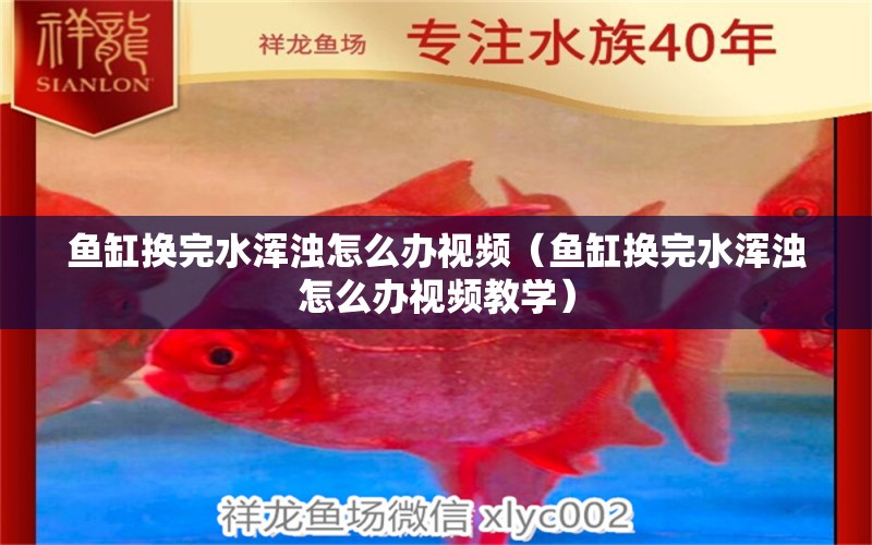 魚(yú)缸換完水渾濁怎么辦視頻（魚(yú)缸換完水渾濁怎么辦視頻教學(xué)） 網(wǎng)上購(gòu)買(mǎi)觀賞魚(yú)