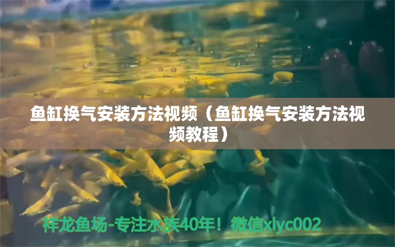 魚缸換氣安裝方法視頻（魚缸換氣安裝方法視頻教程）