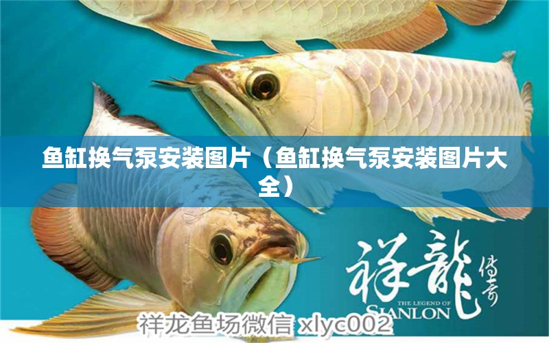 魚缸換氣泵安裝圖片（魚缸換氣泵安裝圖片大全）