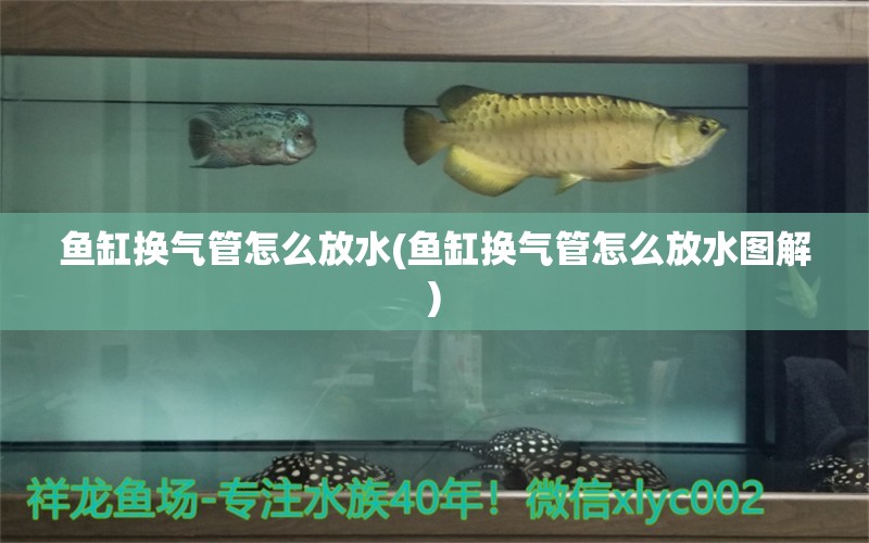 魚缸換氣管怎么放水(魚缸換氣管怎么放水圖解) 野生埃及神仙魚