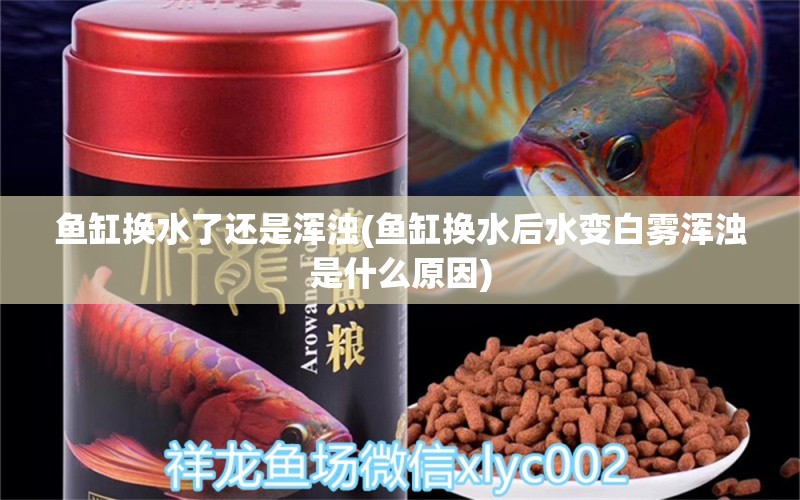 魚缸換水了還是渾濁(魚缸換水后水變白霧渾濁是什么原因)