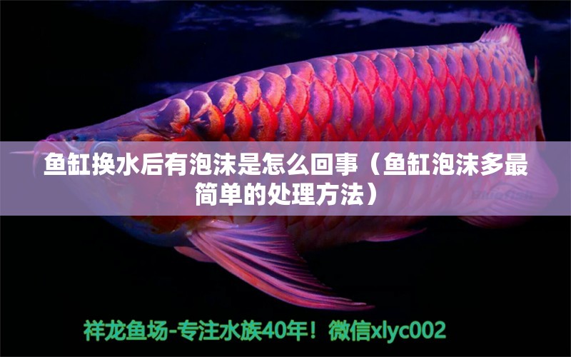 魚缸換水后有泡沫是怎么回事（魚缸泡沫多最簡單的處理方法）