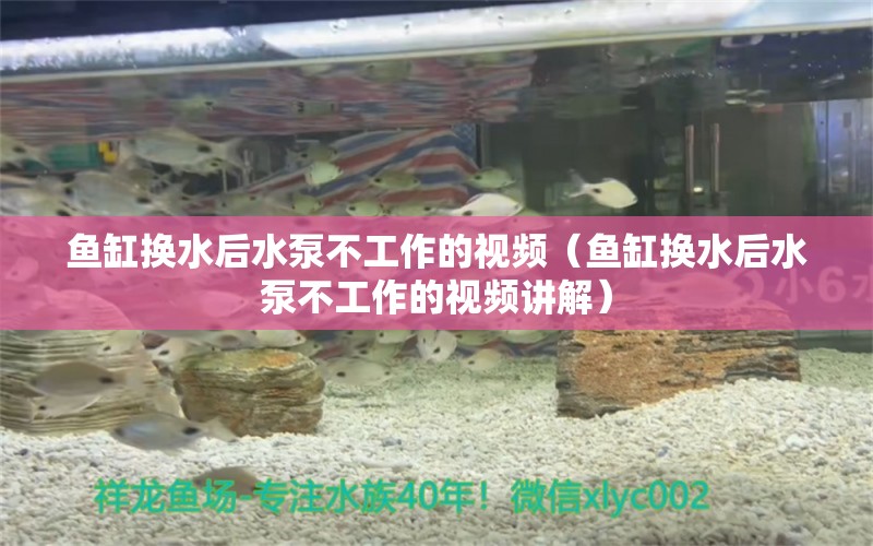 魚缸換水后水泵不工作的視頻（魚缸換水后水泵不工作的視頻講解）