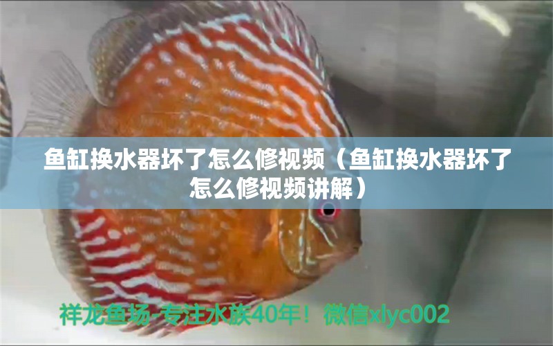 魚缸換水器壞了怎么修視頻（魚缸換水器壞了怎么修視頻講解）