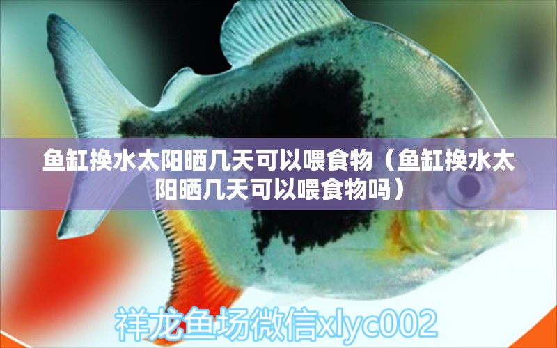 魚缸換水太陽曬幾天可以喂食物（魚缸換水太陽曬幾天可以喂食物嗎）