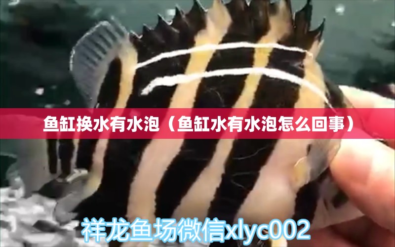 魚缸換水有水泡（魚缸水有水泡怎么回事） 其他品牌魚缸