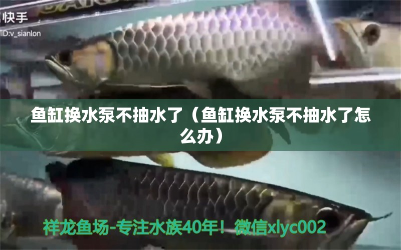 魚(yú)缸換水泵不抽水了（魚(yú)缸換水泵不抽水了怎么辦）