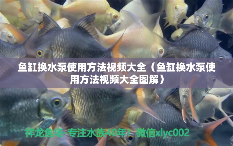 魚缸換水泵使用方法視頻大全（魚缸換水泵使用方法視頻大全圖解）