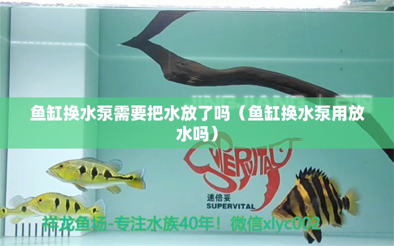 魚(yú)缸換水泵需要把水放了嗎（魚(yú)缸換水泵用放水嗎）