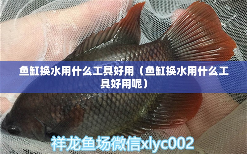 魚缸換水用什么工具好用（魚缸換水用什么工具好用呢）