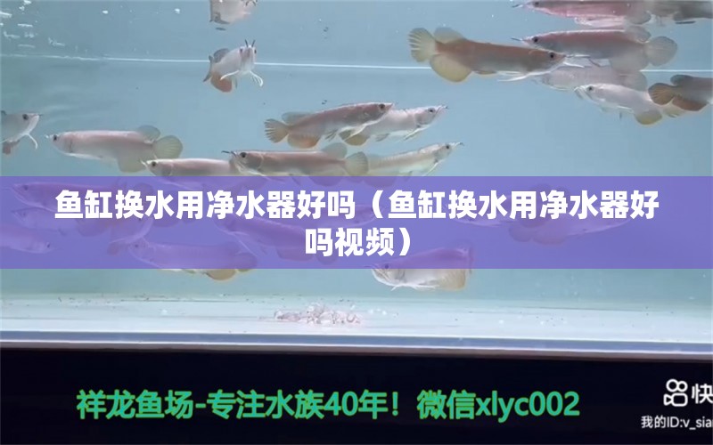 魚缸換水用凈水器好嗎（魚缸換水用凈水器好嗎視頻）