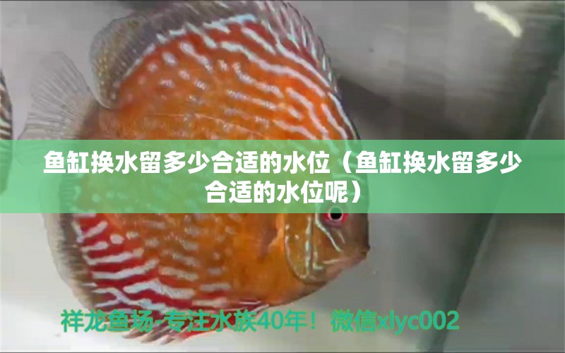 魚缸換水留多少合適的水位（魚缸換水留多少合適的水位呢） 財(cái)神鸚鵡魚