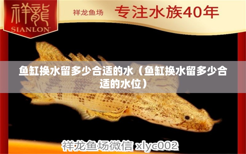 魚(yú)缸換水留多少合適的水（魚(yú)缸換水留多少合適的水位） 觀賞魚(yú)水族批發(fā)市場(chǎng)