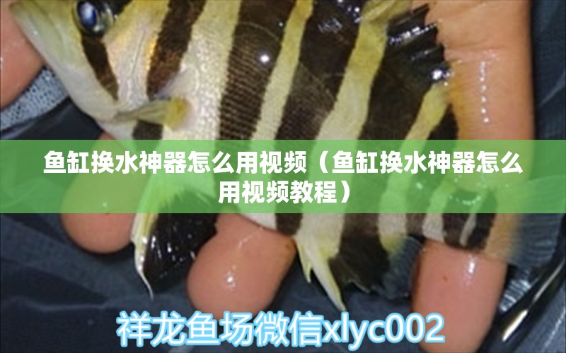 魚缸換水神器怎么用視頻（魚缸換水神器怎么用視頻教程） 帝王血鉆