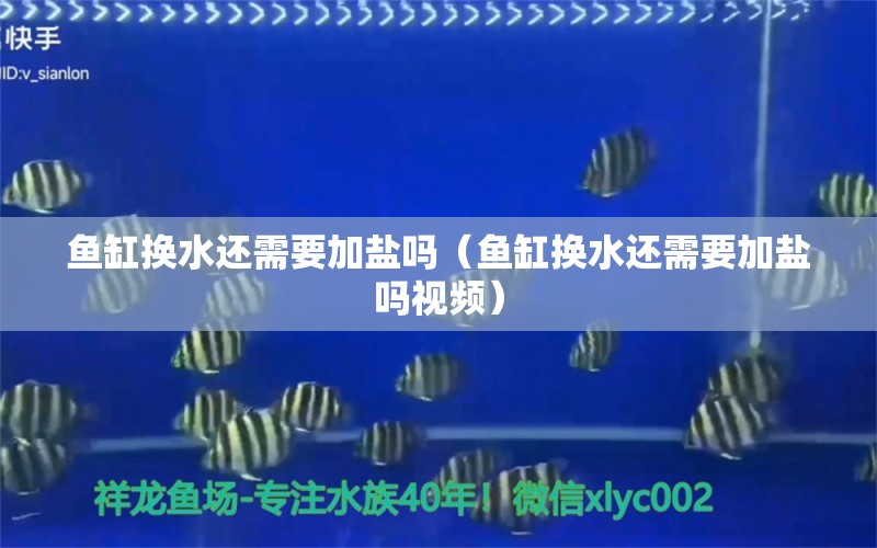 魚(yú)缸換水還需要加鹽嗎（魚(yú)缸換水還需要加鹽嗎視頻） 祥龍魚(yú)場(chǎng)