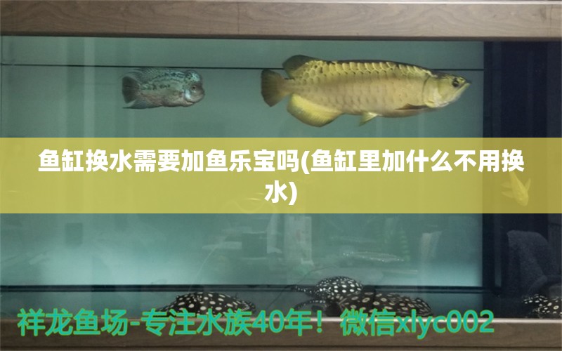 魚缸換水需要加魚樂寶嗎(魚缸里加什么不用換水) 二氧化碳設(shè)備 第1張