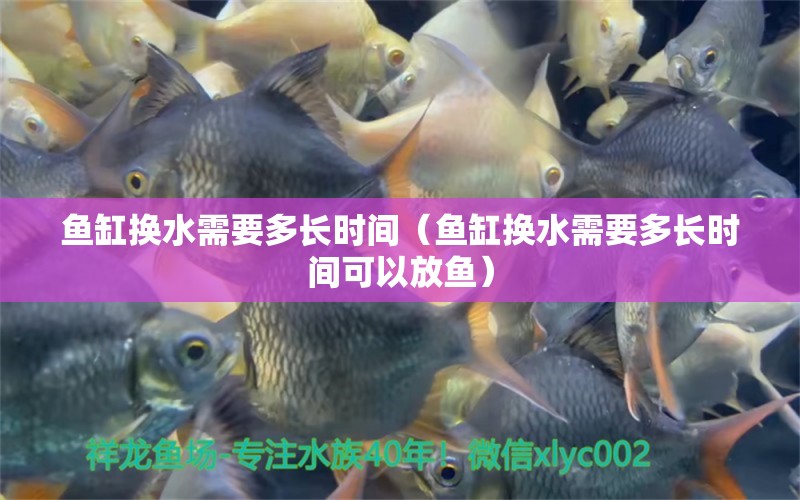 魚缸換水需要多長時間（魚缸換水需要多長時間可以放魚）