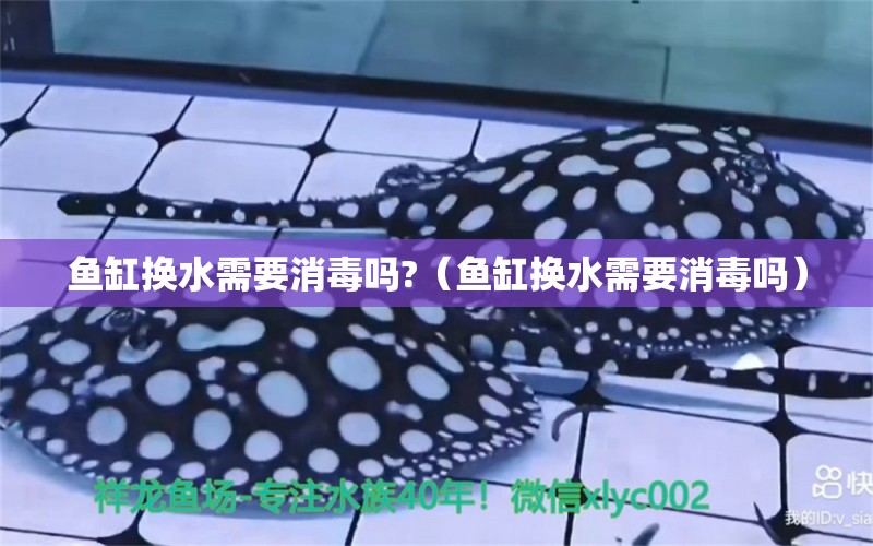 魚缸換水需要消毒嗎?（魚缸換水需要消毒嗎）