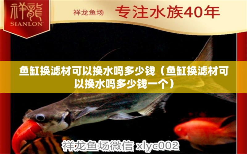 魚缸換濾材可以換水嗎多少錢（魚缸換濾材可以換水嗎多少錢一個） 祥龍水族醫(yī)院