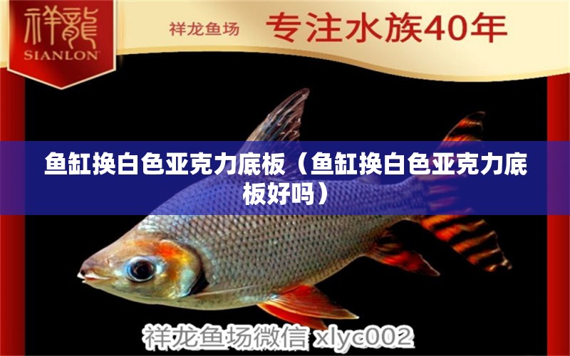 魚(yú)缸換白色亞克力底板（魚(yú)缸換白色亞克力底板好嗎）