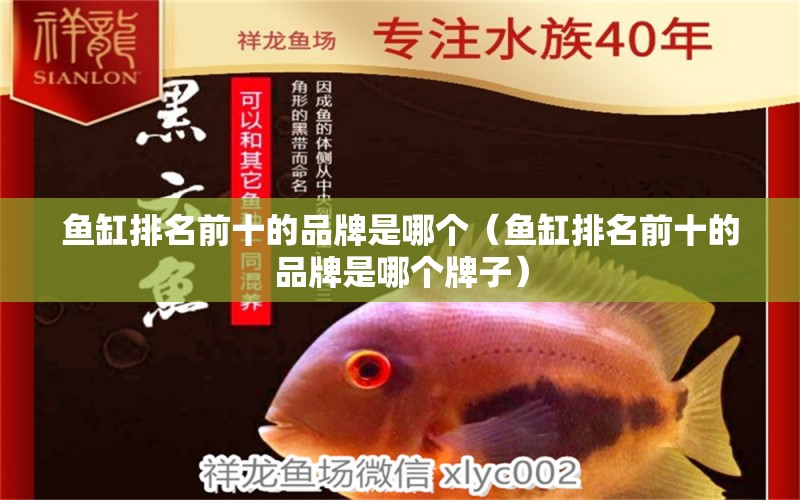 魚(yú)缸排名前十的品牌是哪個(gè)（魚(yú)缸排名前十的品牌是哪個(gè)牌子）