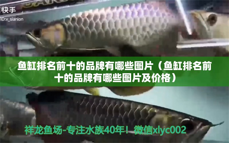 魚缸排名前十的品牌有哪些圖片（魚缸排名前十的品牌有哪些圖片及價(jià)格）