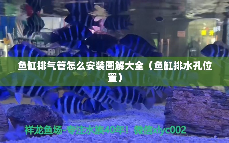 魚(yú)缸排氣管怎么安裝圖解大全（魚(yú)缸排水孔位置）