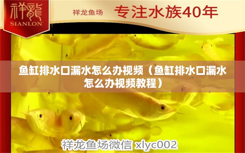 魚(yú)缸排水口漏水怎么辦視頻（魚(yú)缸排水口漏水怎么辦視頻教程）