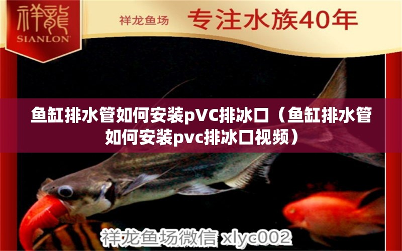 魚缸排水管如何安裝pVC排冰口（魚缸排水管如何安裝pvc排冰口視頻）