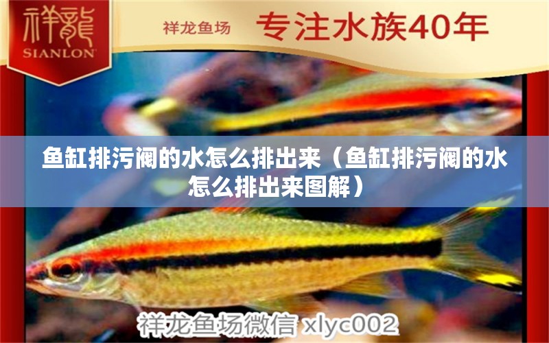 魚缸排污閥的水怎么排出來（魚缸排污閥的水怎么排出來圖解）