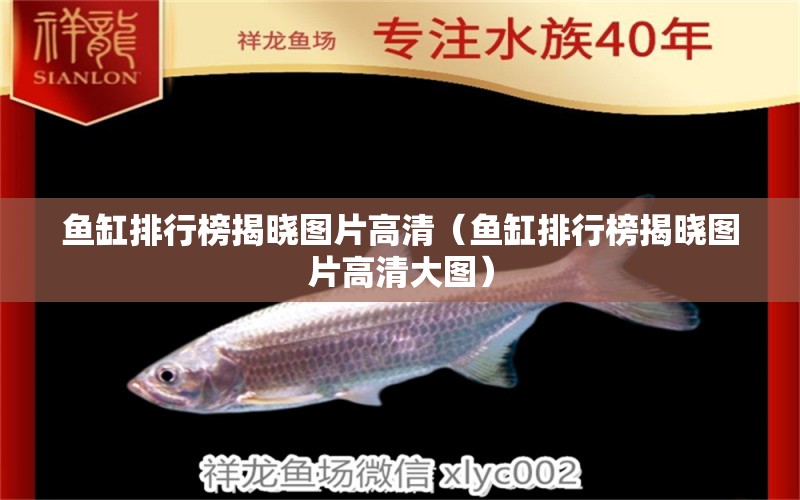 魚缸排行榜揭曉圖片高清（魚缸排行榜揭曉圖片高清大圖） 其他品牌魚缸