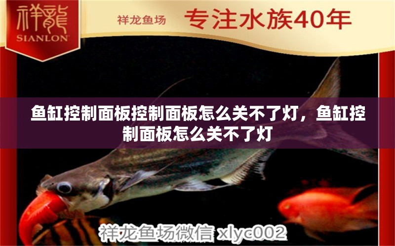 魚(yú)缸控制面板控制面板怎么關(guān)不了燈，魚(yú)缸控制面板怎么關(guān)不了燈 大白鯊魚(yú)苗