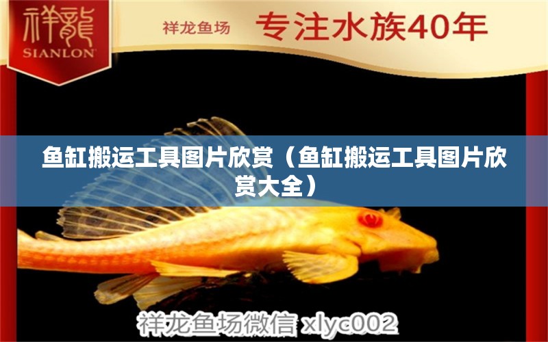 魚缸搬運工具圖片欣賞（魚缸搬運工具圖片欣賞大全）