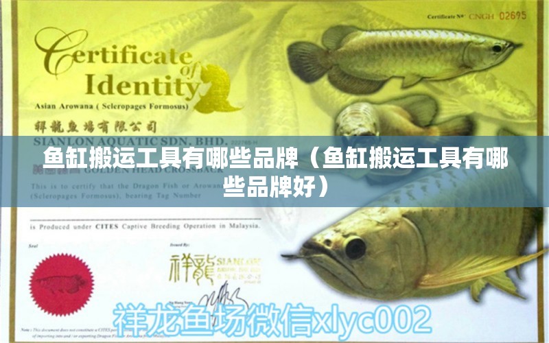 魚缸搬運工具有哪些品牌（魚缸搬運工具有哪些品牌好）