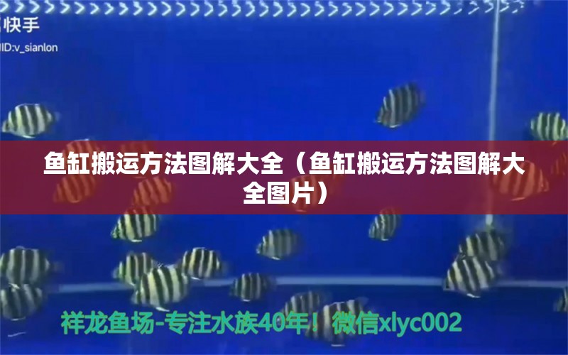 魚缸搬運(yùn)方法圖解大全（魚缸搬運(yùn)方法圖解大全圖片） 立達(dá)金龍魚