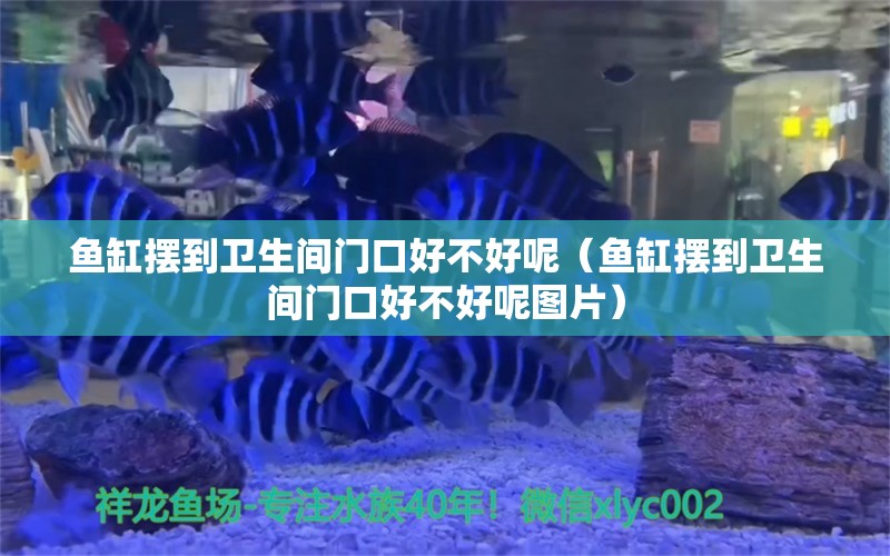 魚缸擺到衛(wèi)生間門口好不好呢（魚缸擺到衛(wèi)生間門口好不好呢圖片）