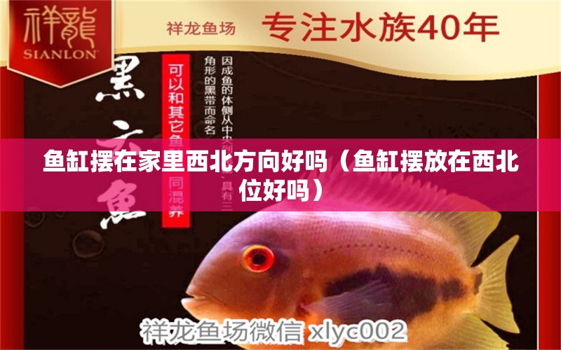 魚缸擺在家里西北方向好嗎（魚缸擺放在西北位好嗎）