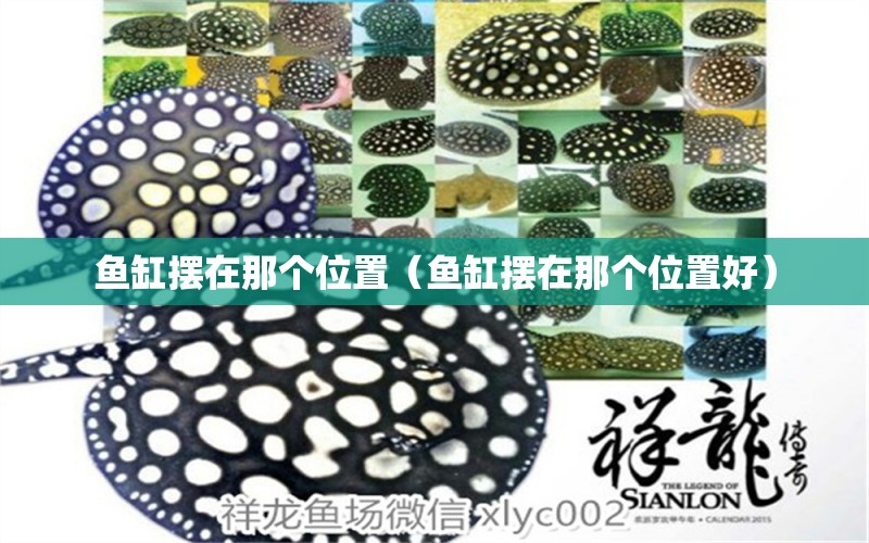 魚缸擺在那個位置（魚缸擺在那個位置好） 其他品牌魚缸